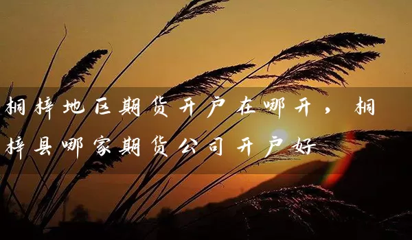 桐梓地区期货开户在哪开，桐梓县哪家期货公司开户好_https://www.gzguangze.com_期货直播_第1张