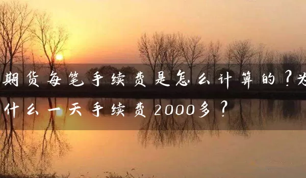 期货每笔手续费是怎么计算的？为什么一天手续费2000多？_https://www.gzguangze.com_期货交易所_第1张