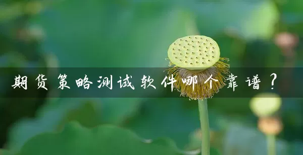 期货策略测试软件哪个靠谱？_https://www.gzguangze.com_期货开户_第1张