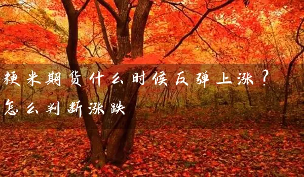 粳米期货什么时候反弹上涨？怎么判断涨跌_https://www.gzguangze.com_期货保证金_第1张