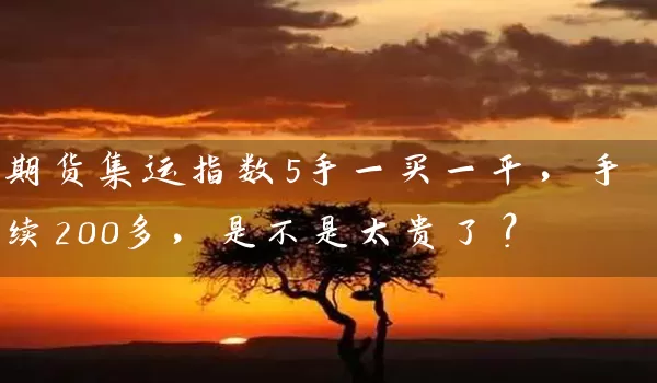 期货集运指数5手一买一平，手续200多，是不是太贵了？_https://www.gzguangze.com_期货开户_第1张