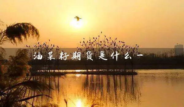 油菜籽期货是什么-_https://www.gzguangze.com_中阳国际期货_第1张