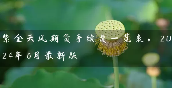 紫金天风期货手续费一览表，2024年6月最新版_https://www.gzguangze.com_期货保证金_第1张