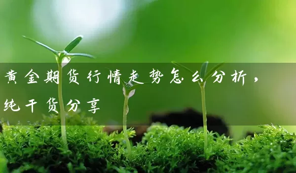 黄金期货行情走势怎么分析，纯干货分享_https://www.gzguangze.com_期货手续费_第1张