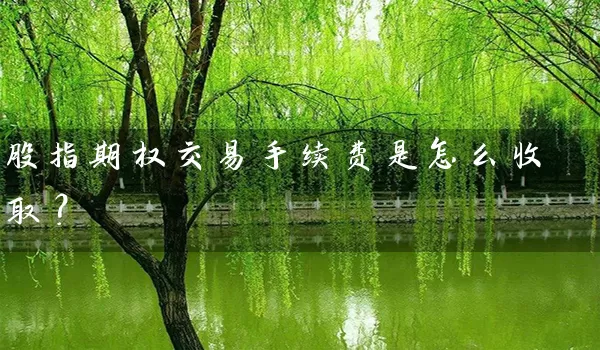 股指期权交易手续费是怎么收取？_https://www.gzguangze.com_期货交易所_第1张