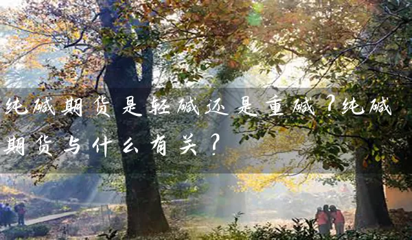 纯碱期货是轻碱还是重碱？纯碱期货与什么有关？_https://www.gzguangze.com_期货手续费_第1张