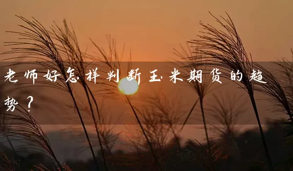 老师好怎样判断玉米期货的趋势？_https://www.gzguangze.com_期货开户_第1张