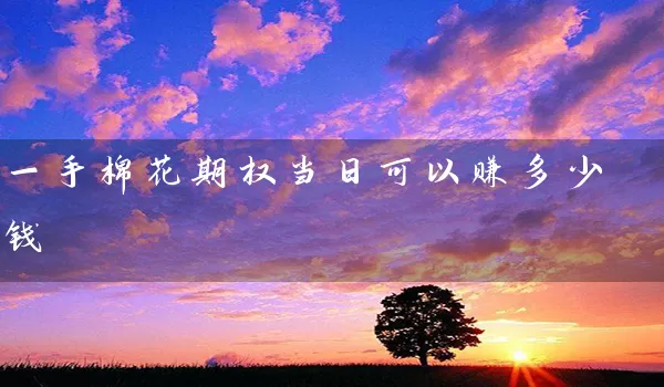 一手棉花期权当日可以赚多少钱_https://www.gzguangze.com_期货交易所_第1张