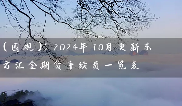 （围观）：2024年10月更新东方汇金期货手续费一览表_https://www.gzguangze.com_期货保证金_第1张