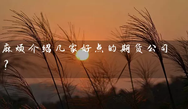 麻烦介绍几家好点的期货公司？_https://www.gzguangze.com_期货开户_第1张