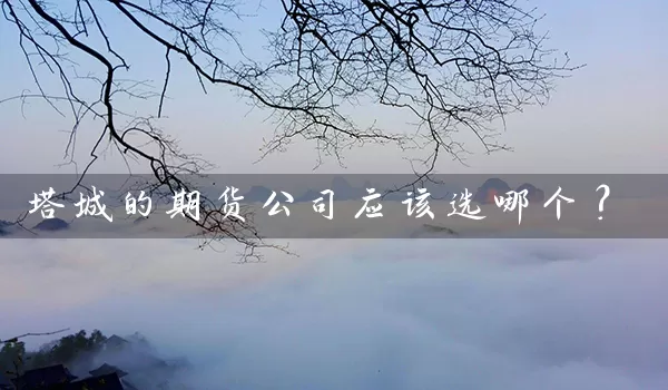 塔城的期货公司应该选哪个？_https://www.gzguangze.com_中阳国际期货_第1张