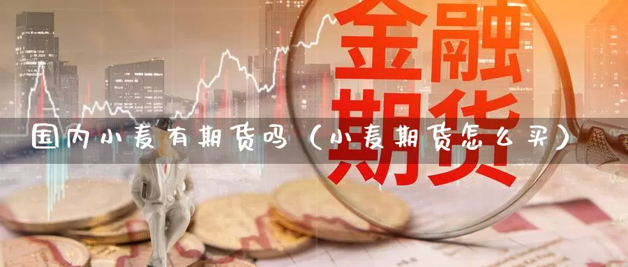 国内小麦有期货吗（小麦期货怎么买）_https://www.gzguangze.com_黄金期货_第1张