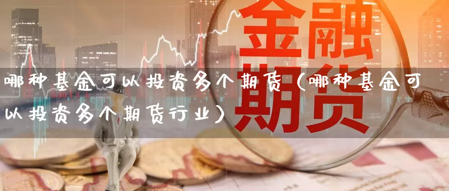 哪种基金可以投资多个期货（哪种基金可以投资多个期货行业）_https://www.gzguangze.com_外盘期货_第1张