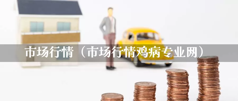 市场行情（市场行情鸡病专业网）_https://www.gzguangze.com_原油期货_第1张