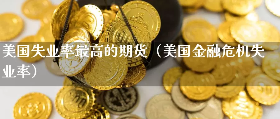 美国失业率最高的期货（美国金融危机失业率）_https://www.gzguangze.com_国际期货_第1张