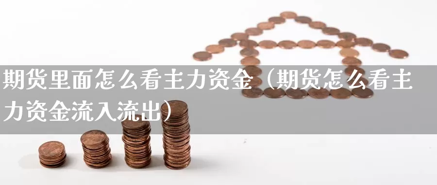 期货里面怎么看主力资金（期货怎么看主力资金流入流出）_https://www.gzguangze.com_外盘期货_第1张