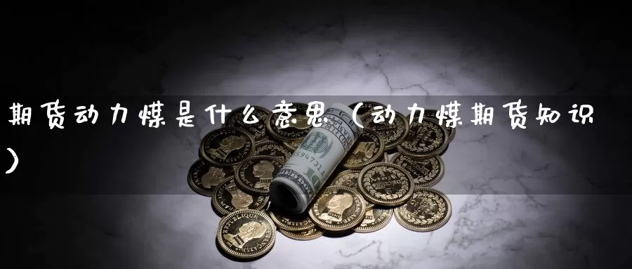 期货动力煤是什么意思（动力煤期货知识）_https://www.gzguangze.com_原油期货_第1张